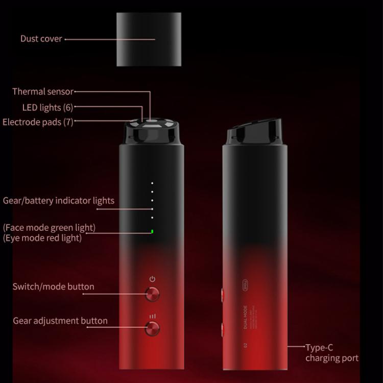 L3007 Frequency Conversion Microcurrent Photon Skin Rejuvenation RF Beauty Instrument