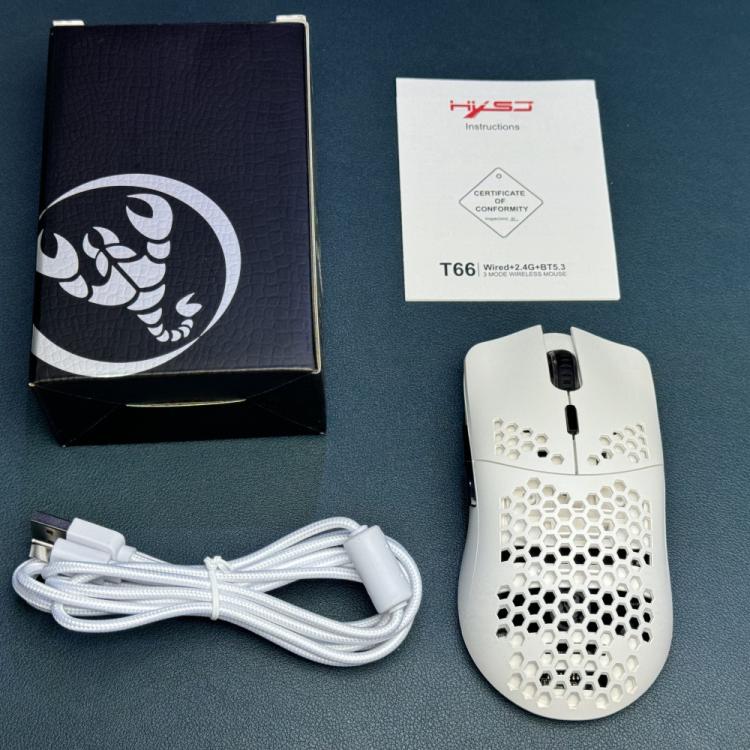 HXSJ T66 3 Modes Wired 2.4G BT5.3 Wireless RGB Rechargeable Mouse