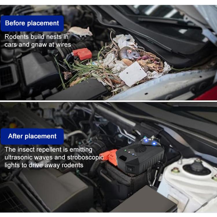 Intelligent Car Ultrasonic Mouse Repeller