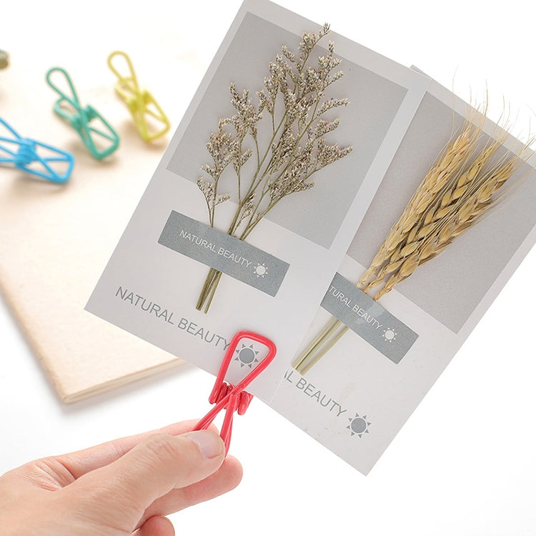 10 PCS Multipurpose Home Decor Clothe Photo Hanging Peg Clamps, Random Color Delivery