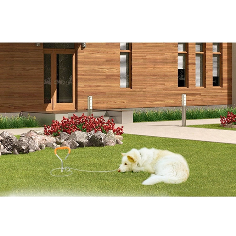 Dog Pile Fixation Spiral Nail with Handle For Medium Small Dog Long Training Outdoor, Size: 45cm*9mm