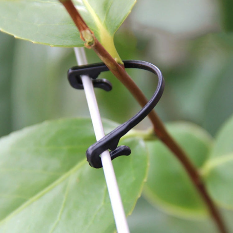 100 PCS / 2 Packs Gardening Vine Grape Tied Tie Strap