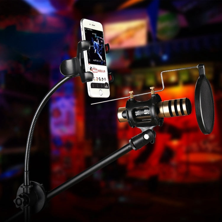RODD NB-108 Karaoke Phone Microphone Tripod