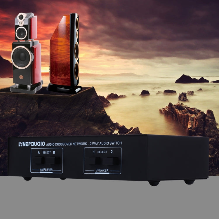 B822 Passive Speaker Switch 2 Channel Power Amplifier Audio Switch Loudspeaker, 2 Input and 2 Output