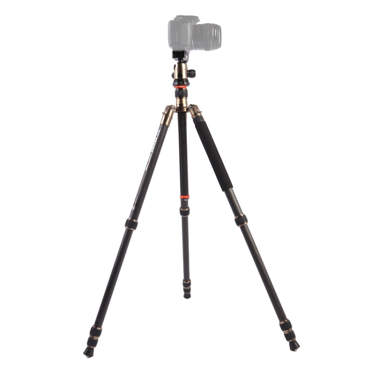 Triopo GT-2504X8.C Adjustable Portable Carbon Fiber Tripod with B-1 Aluminum Ball Head for Canon Nikon Sony DSLR Camera