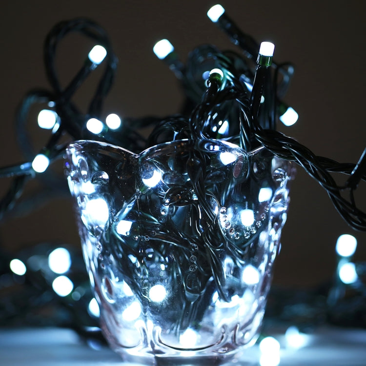 100 LED RGB Light with Controller, Flashing / Fading / Chasing Effect