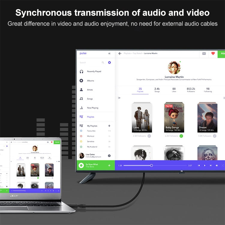 DisplayPort Male to HDMI Female Adapter