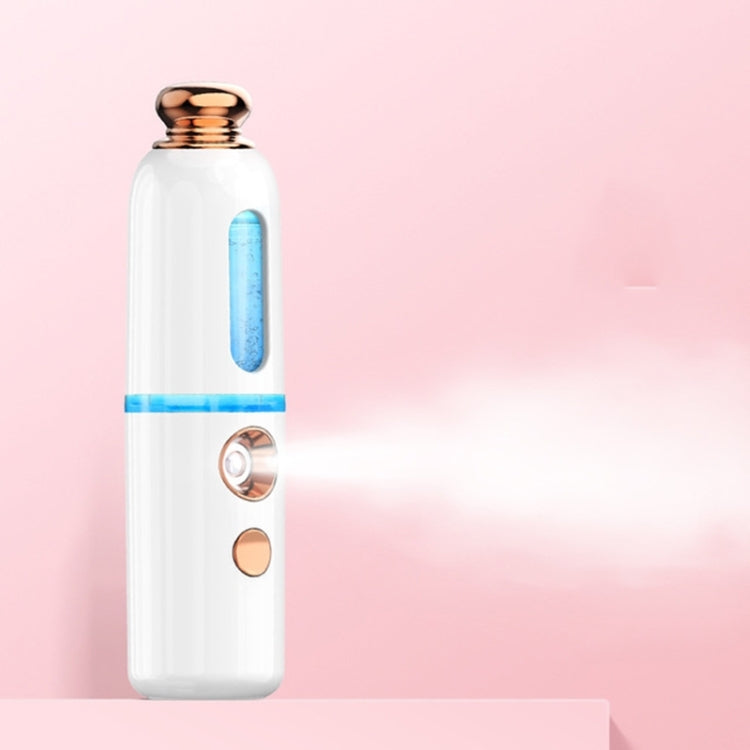 Facial Steamer Nano Spray Water Replenishing Instrument Portable Cold Spray Machine Charging Beauty Instrument Alcohol Disinfection