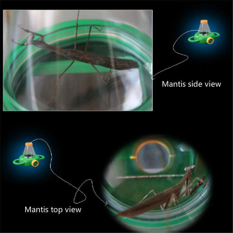 4X Handheld Insect Magnifier Kindergarten Teaching Aids