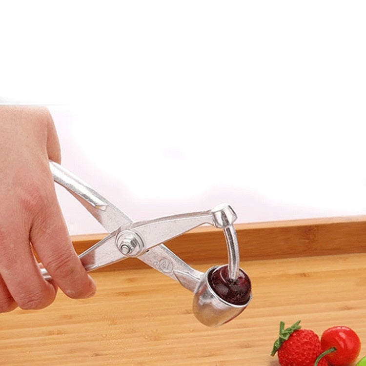 Fruit Stainless Steel Corer Cherry Nucleator