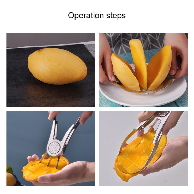 Mango Slicer Corer & Peeler