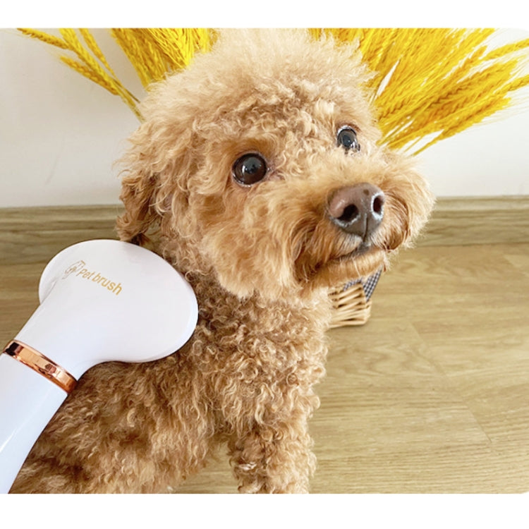 Pet Hair Dryer Cat & Dog Cleaning Electric Comb