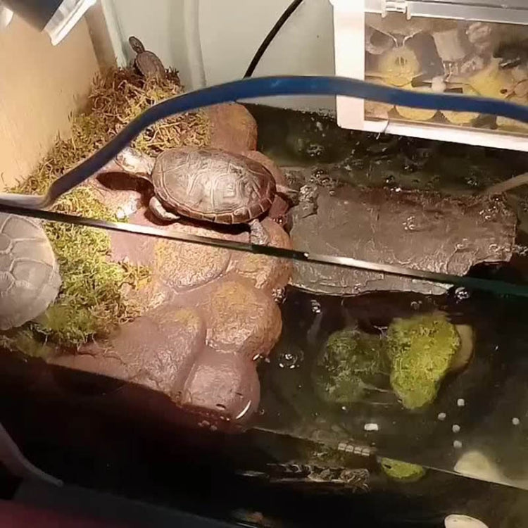 Small Pet Turtle Magnetic Floating Island Basking Platform