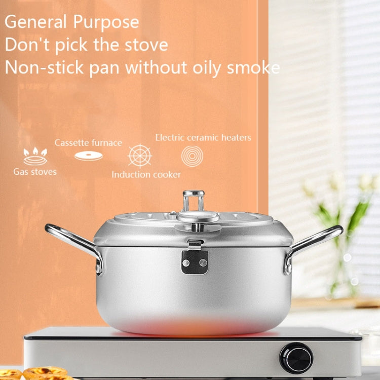 Fryer Pot Household Non-Stick Pan Temperature Control Mini Frying Pot