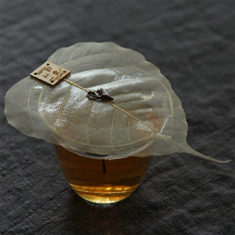 Creative Personality Natural Bodhi Leaf Filter Tea Leak