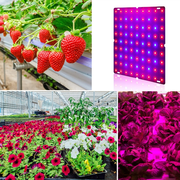 LED Plant Growth Lamp Red Blue Spectrum Flower Fill Light Planting Lamp Room Quantum Plate Plant Light