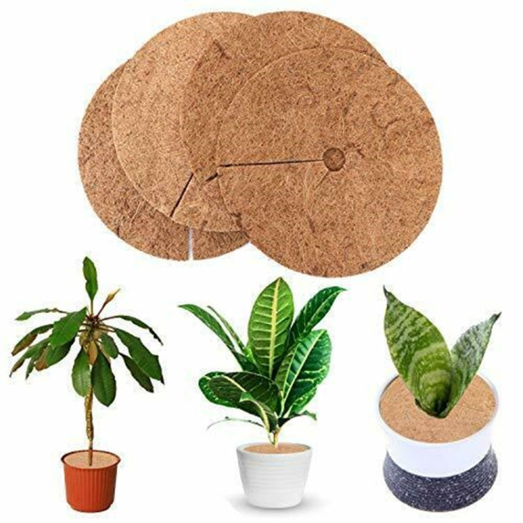 6 PCS/Set Plant Root Antifreeze Flowerpot Coconut Palm Flat Mat, Size: