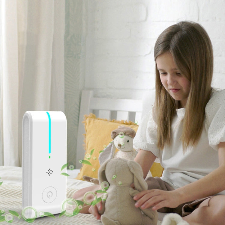 JHQ-12S Negative Ion Formaldehyde Removal Air Purifier Room Deodorizer, Spec: