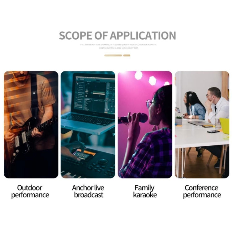 Vinyl Record Player Preamplifier, EU Plug