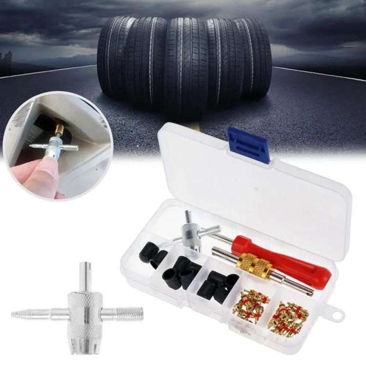 33pcs/Set Car Bicycle Tire Valve Core Installation Tool Repair Kit