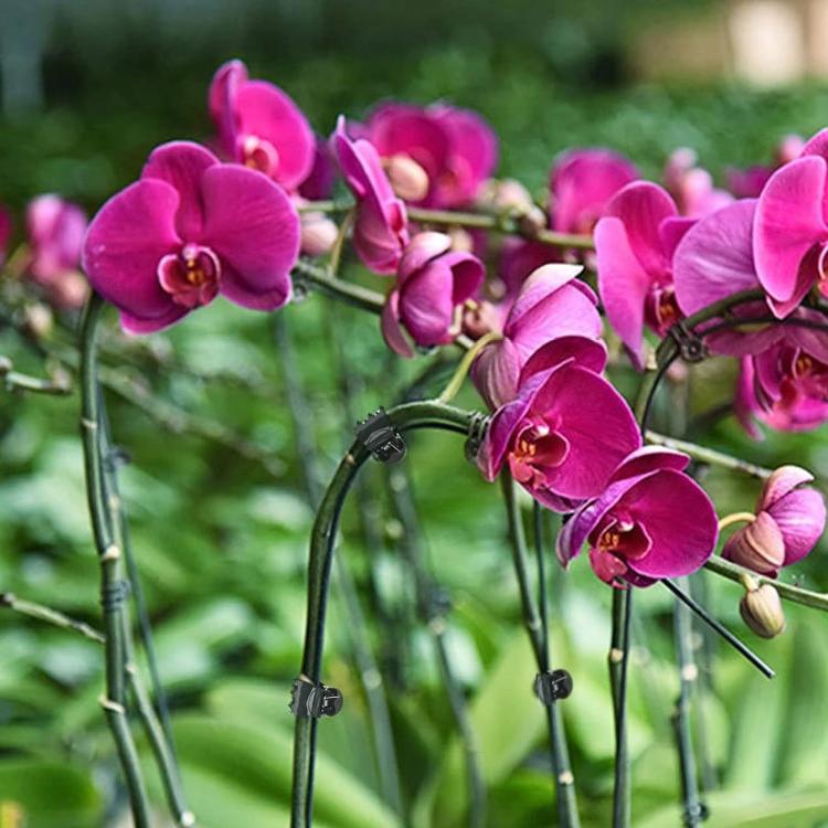 50pcs /Pack Gardening Vine Fixing Clip Plant Shaping Tool Plant Grafting Clip