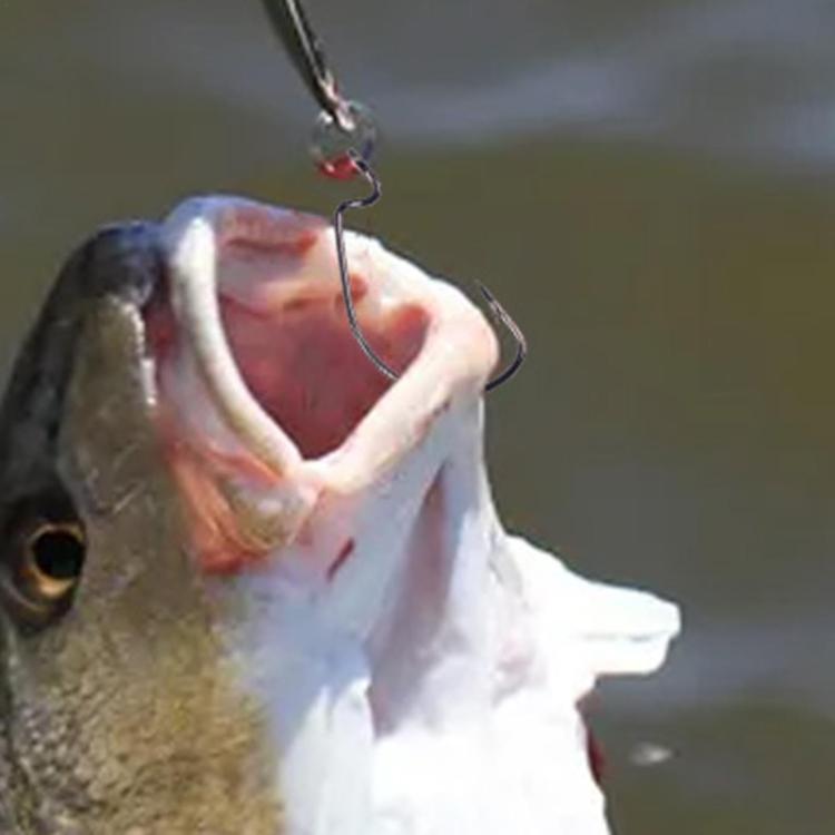 HENGJIA FH013 50pcs / Box Outdoor Fishing Cranked Stripers Hook Set