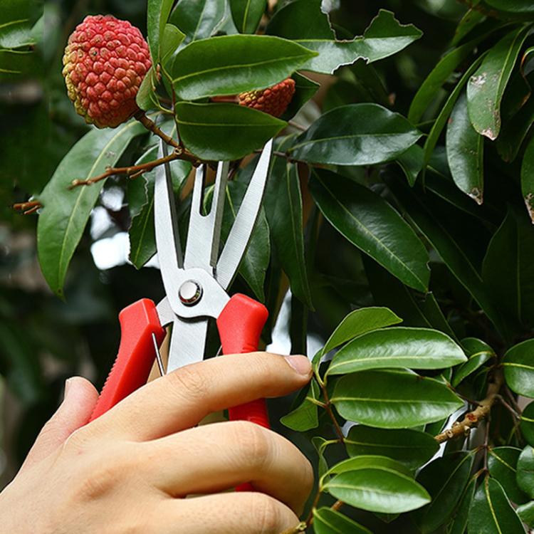 Agricultural Fruit And Flower Thinning Scissors Home Gardening Pruning Tools