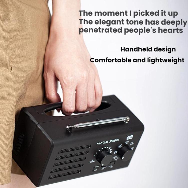 Dual-band FM/AM External Power Socket Radio Player