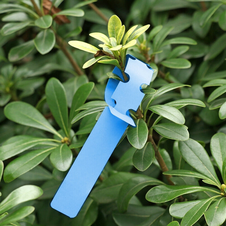 100 PCS Gardening Plant Sapling Seed Hanging Tree Label, Plant Label 5 Red, Plant Label 5 White, Plant Label 5 Pink, Plant Label 5 Yellow, Plant Label 5 Green, Plant Label 5 Blue