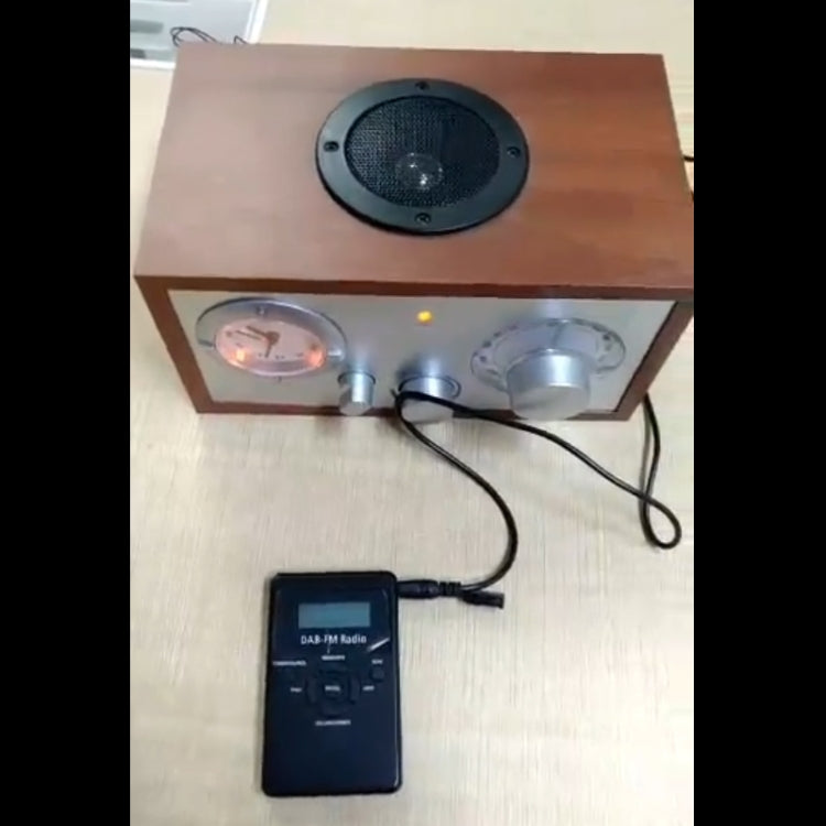 HRD-101 Portable Mini Digital DAB+FM Radio with Lanyard & Headset