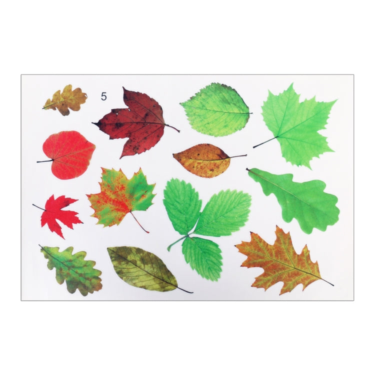 Car 3D PVC Self-adhesive Scratch Personalized Stickers