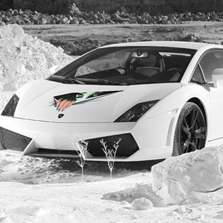 3D Characteristic Digital Simulation Horrible Style Car Paper Sticker