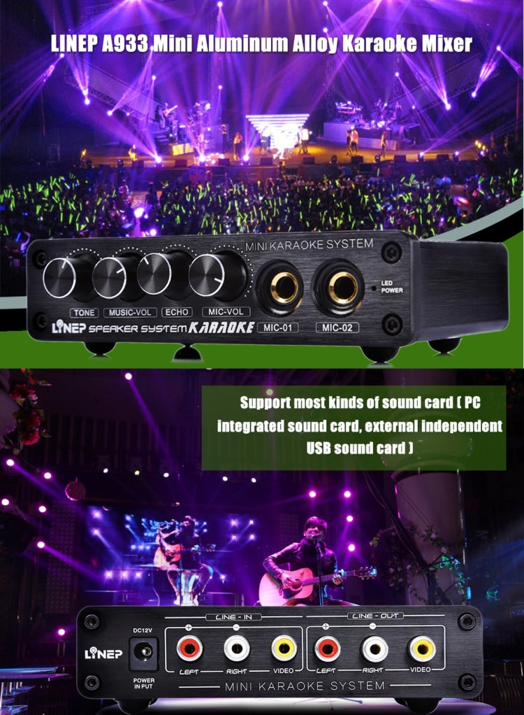A933 Mini Karaoke Machine System Sound Mixer Amplifier for PC / TV / Mobile Phones, Support RCA in / 2 Channel Mic in