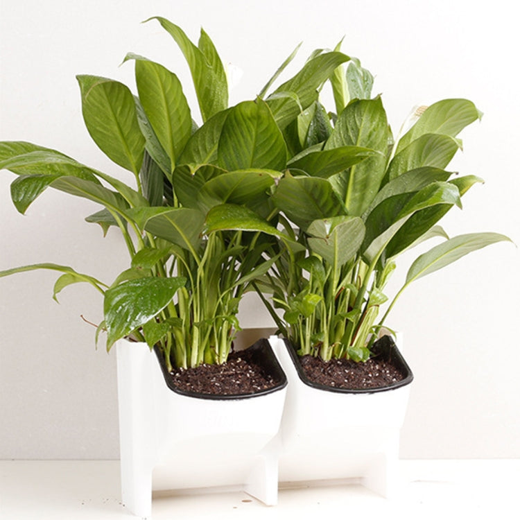 Plant Wall Vertical Indoor and Outdoor Balcony Wall-mounted Flower Pots Creative Combination of Resin Plastic Flower Pots with Removable Pot