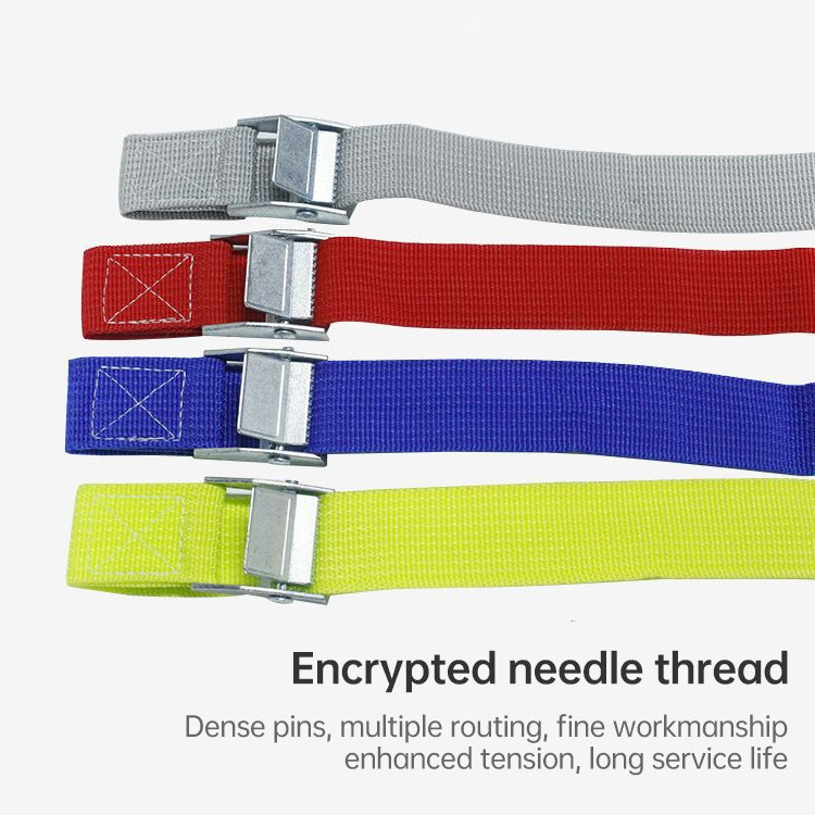 Car Tension Rope Luggage Strap Belt Auto Car Boat Fixed Strap with Alloy Buckle,Random Color Delivery, Size: 25mm x 1m