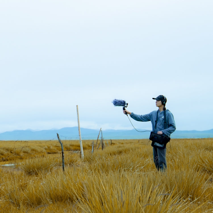 Deity V-Mic D3 Directional Condenser Shotgun Microphone