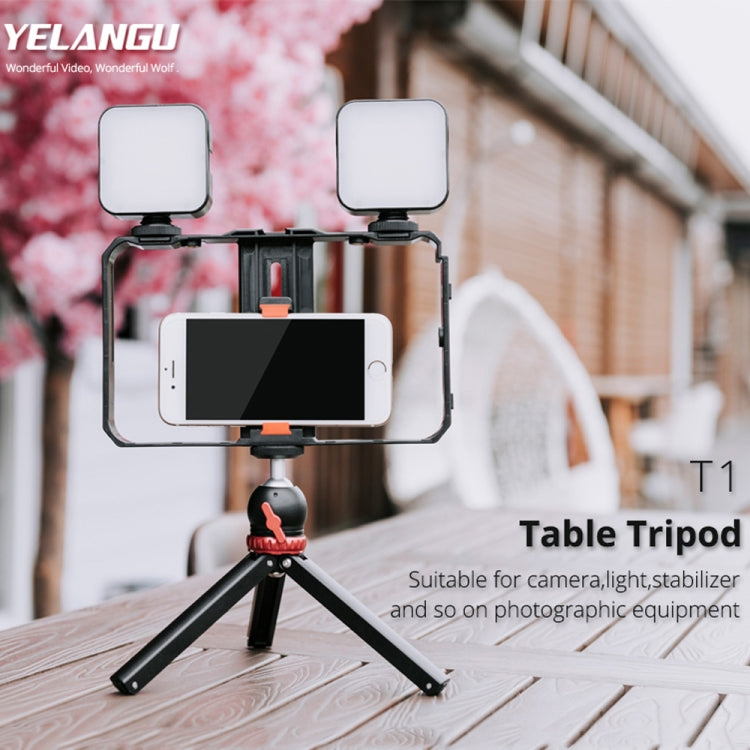YELANGU T1 YLG1202A Pocket Mini Metal Desktop Tripod Mount with 360 Degree Ball Head for DSLR & Digital Cameras