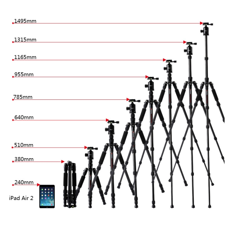 TRIOPO T259G+Q2 Adjustable Portable Carbon Fiber Tripod with Q-2 Ball Head for SLR Camera