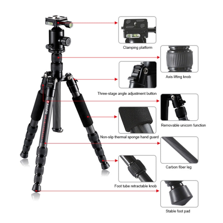 TRIOPO T259G+Q2 Adjustable Portable Carbon Fiber Tripod with Q-2 Ball Head for SLR Camera