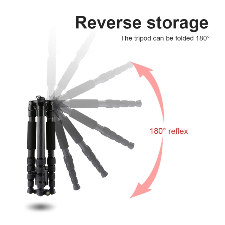 TRIOPO T259G+Q2 Adjustable Portable Carbon Fiber Tripod with Q-2 Ball Head for SLR Camera