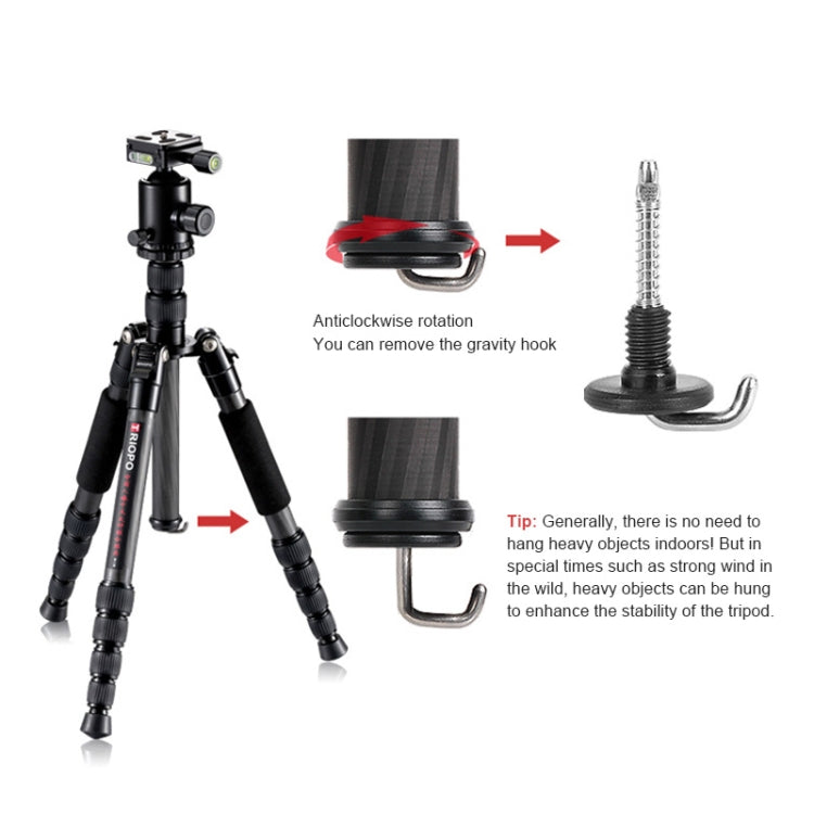 TRIOPO T259G+Q2 Adjustable Portable Carbon Fiber Tripod with Q-2 Ball Head for SLR Camera