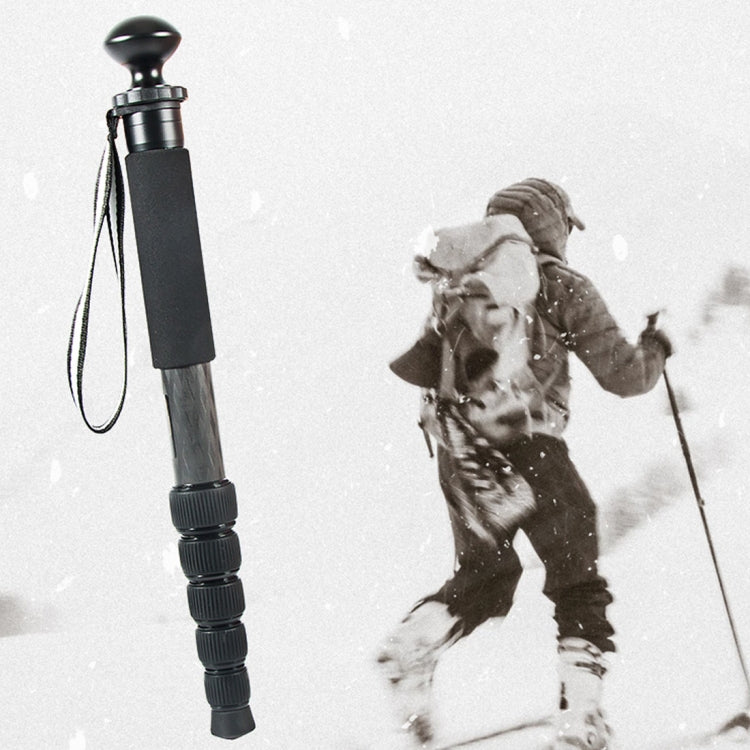 BEXIN P306C Portable Travel Outdoor DSLR Camera Carbon Fiber Monopod Holder