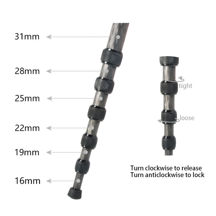 BEXIN P306C Portable Travel Outdoor DSLR Camera Carbon Fiber Monopod Holder
