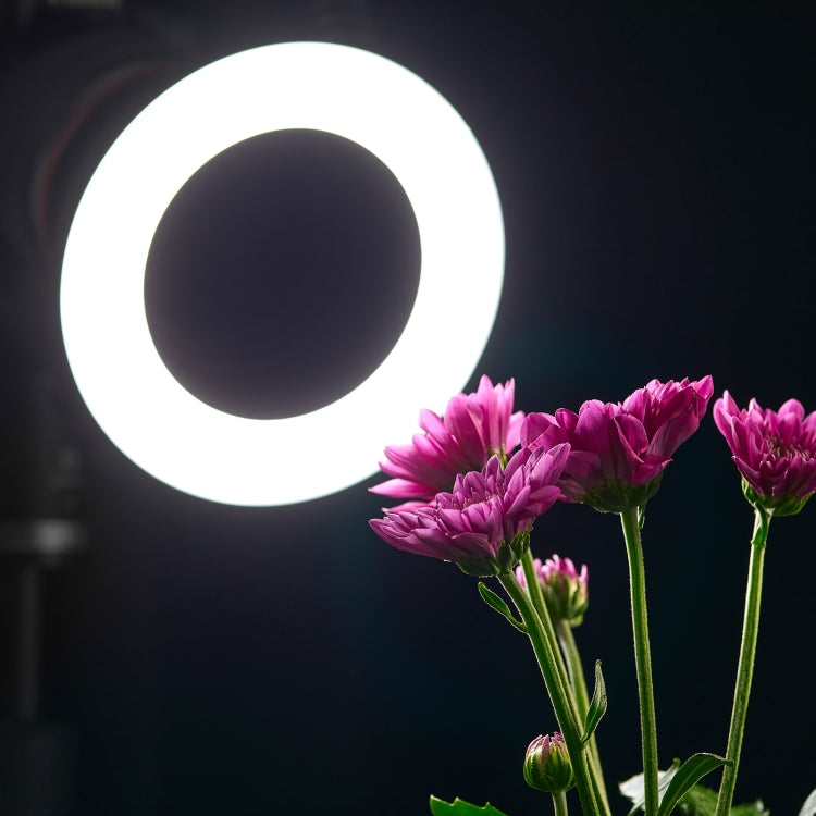 Godox Ring72 Macro Ring 48 LED Flash Light with 8 Different Size Adapter Rings