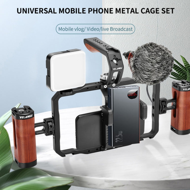 YELANGU LW101Vlogging Live Broadcast Smartphone Video Rig Handles Stabilizer Kits