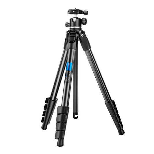 BEXIN TA255-BS30 Portable Collapsible Aluminum Alloy Camera Tripod with Head