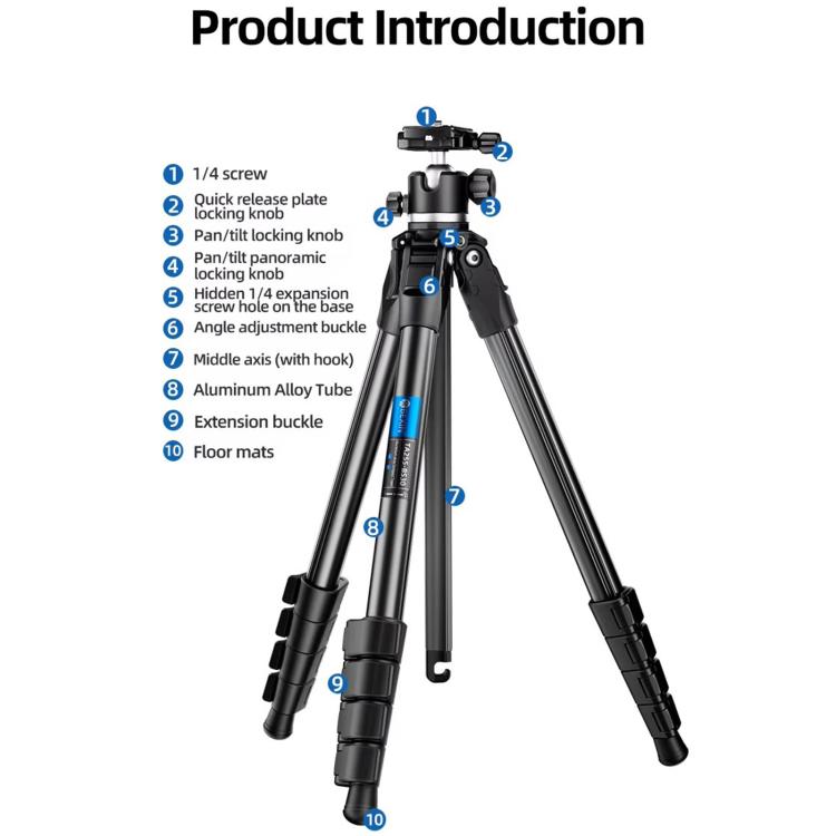 BEXIN TA255-BS30 Portable Collapsible Aluminum Alloy Camera Tripod with Head