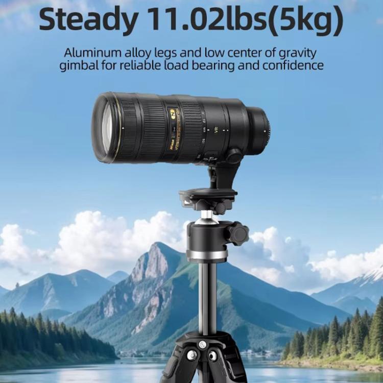 BEXIN TA255-BS30 Portable Collapsible Aluminum Alloy Camera Tripod with Head