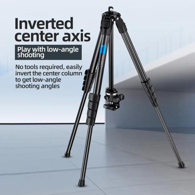 BEXIN TA255-BS30 Portable Collapsible Aluminum Alloy Camera Tripod with Head