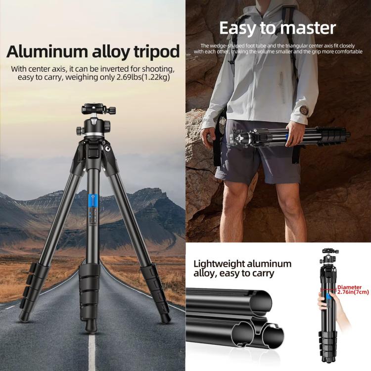 BEXIN TA254-BS30 Portable Collapsible Aluminum Alloy Camera Tripod with Head
